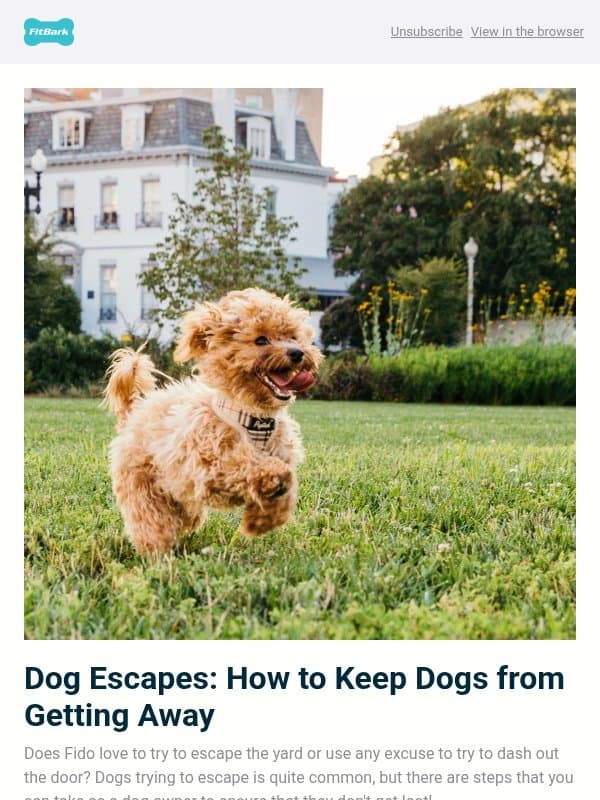 Dog Escapes: How to Keep Dogs From Getting Away email from FitBark