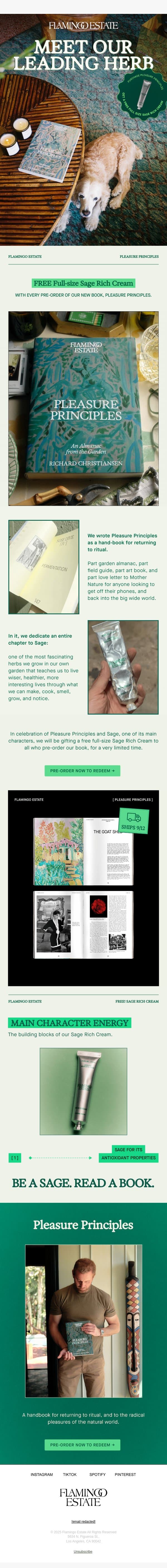 SAGE ADVICE! email from Flamingo Estate screenshot