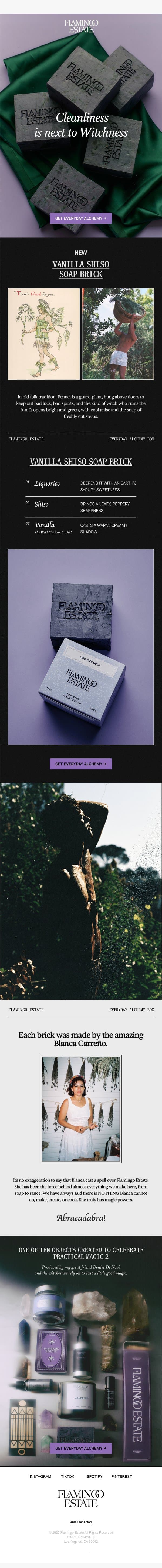 The Witch's Bar Soap email from Flamingo Estate screenshot