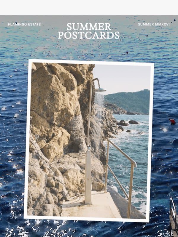 SUMMER POSTCARDS email from Flamingo Estate