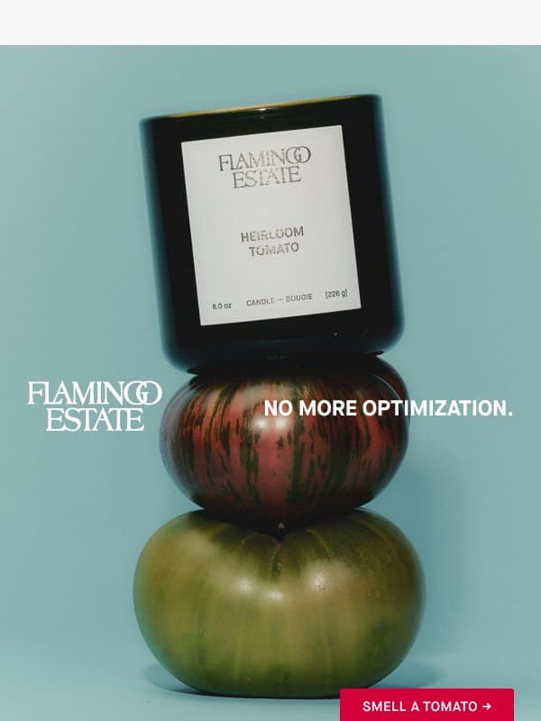 TAKE BACK YOUR SENSES email from Flamingo Estate