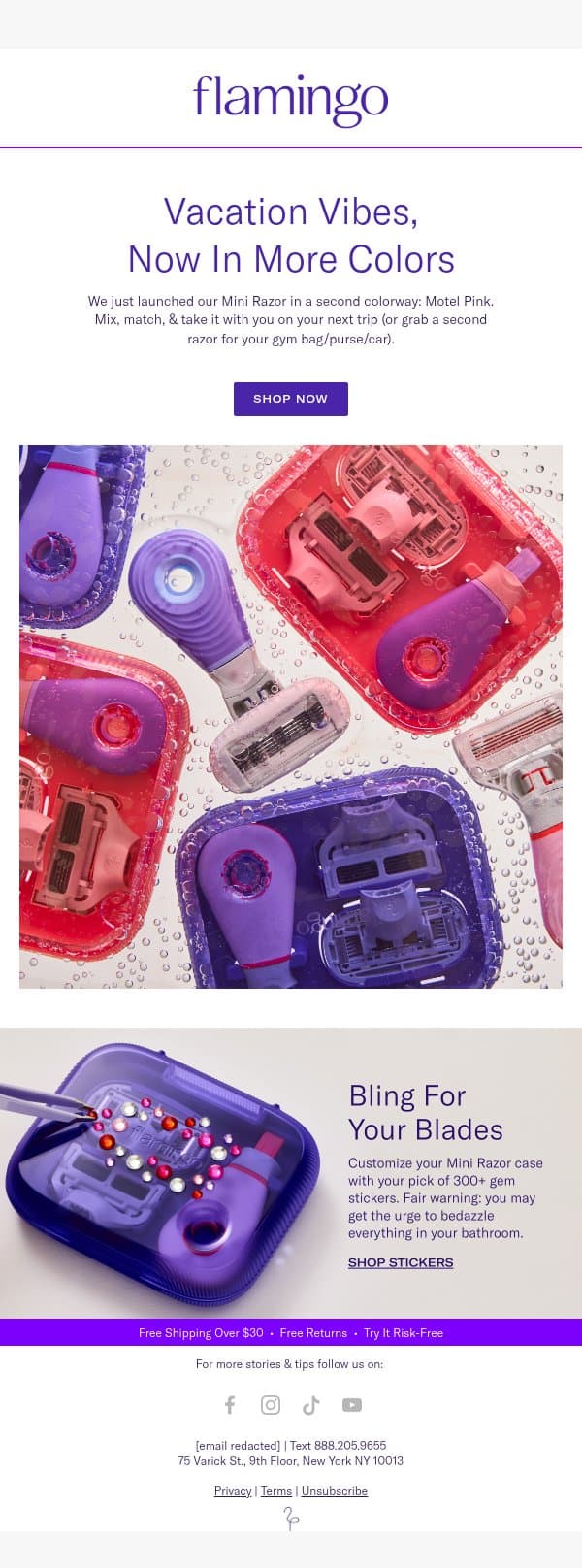 Are you a Poolside Periwinkle or Motel Pink? email from Flamingo screenshot