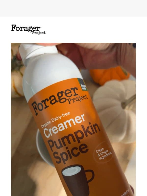 Limited Edition Pumpkin Spice—Get It Before It's Gone! email from Forager Project