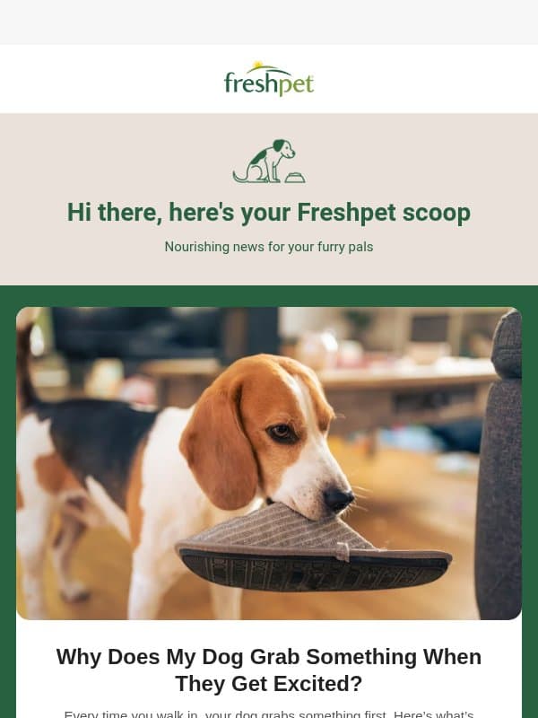 Why do dogs grab a toy when they get excited? 🦴 email from Freshpet