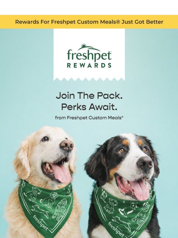 Introducing Pack Perks: Rewards for Freshpet Custom Meals email from Freshpet