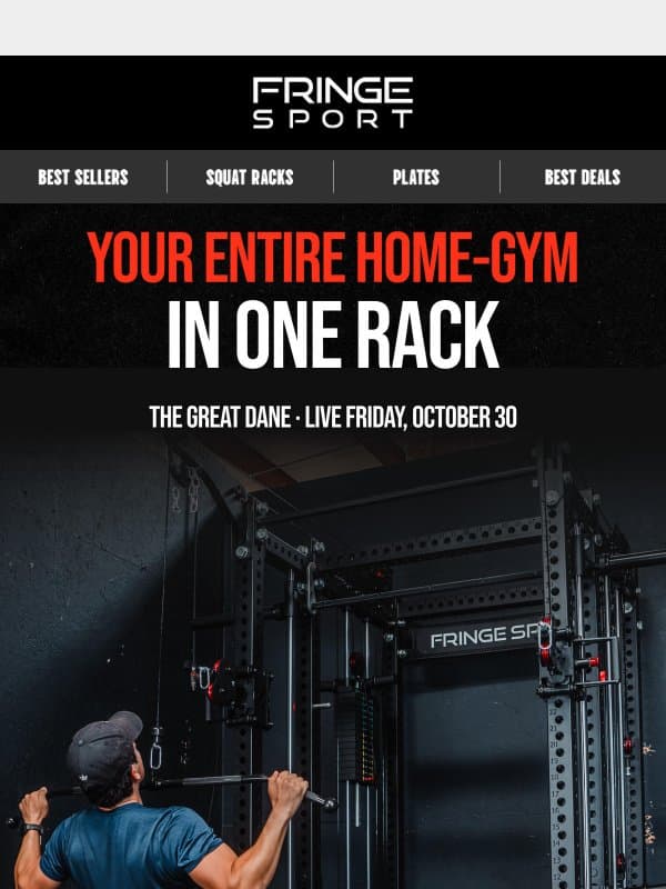Everything that comes with the Great Dane email from Fringe Sport