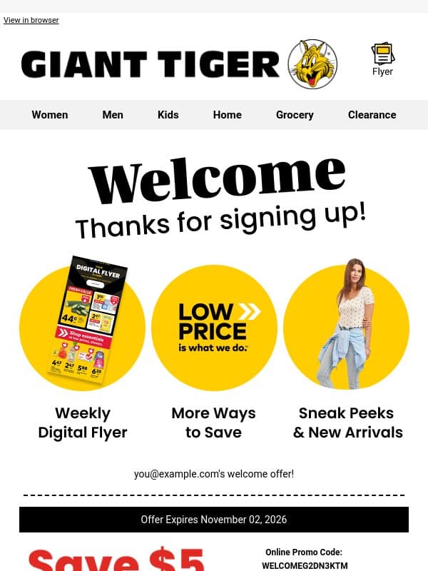 Hey there, new email subscriber! email from Giant Tiger