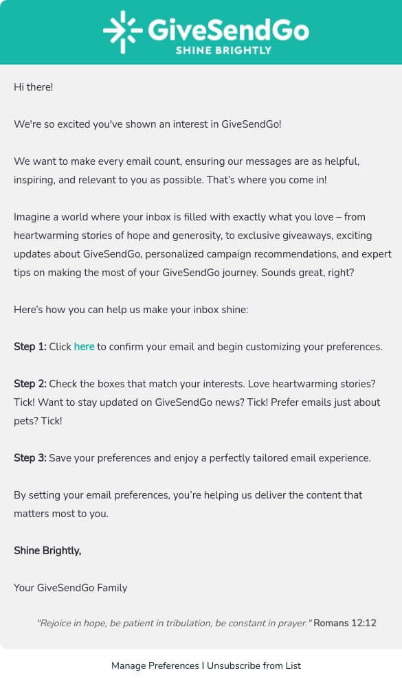 ✨ Help Us Make Your Inbox Shine! ✨ email from GiveSendGo screenshot