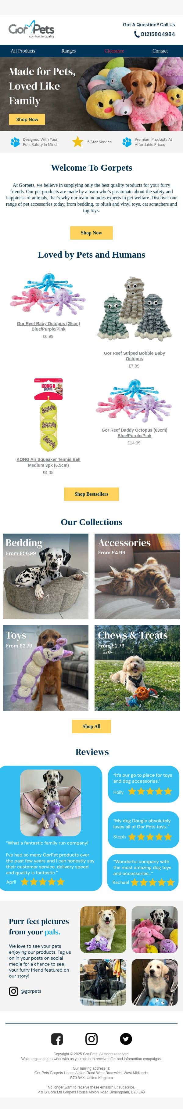 Welcome To Gorpets 🐾 email from Gor Pets screenshot