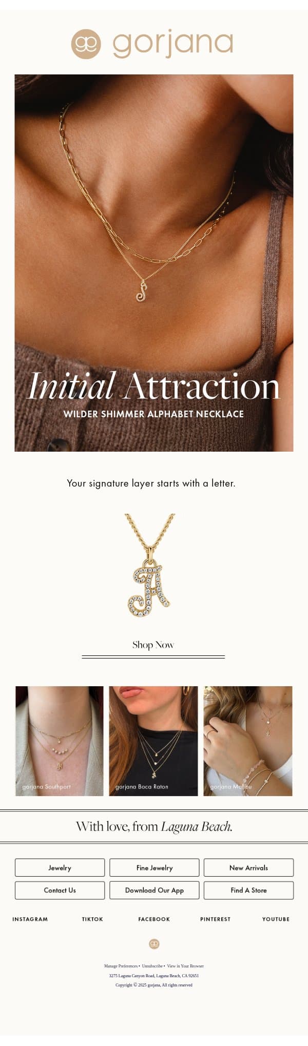 Your new favorite necklace email from Gorjana screenshot