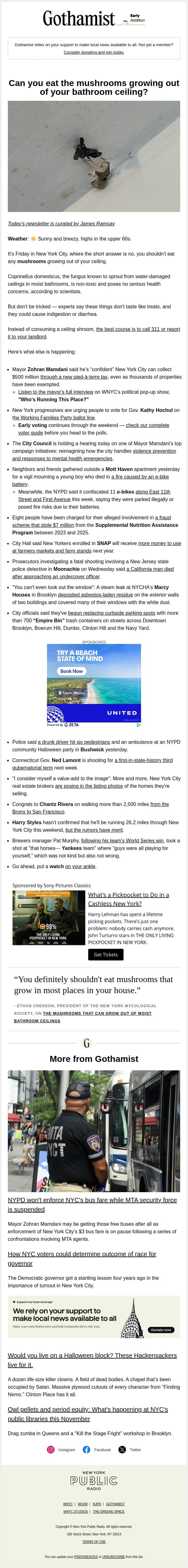 Can you eat the mushrooms growing out of your ceiling? email from Gothamist screenshot