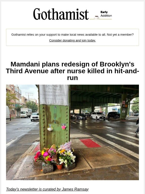 Brooklyn's 3rd Ave set for redesign after nurse killed in hit-and-run email from Gothamist