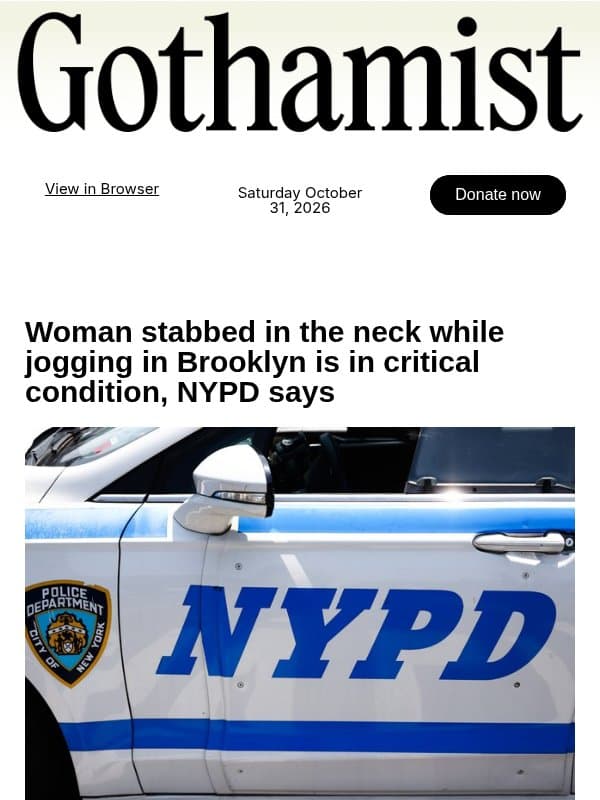 Brooklyn jogger stabbed in the neck on waterfront trail email from Gothamist