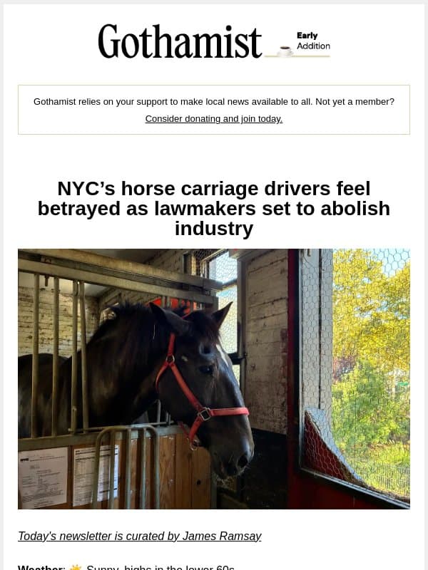 NYC’s horse carriage drivers feel betrayed email from Gothamist