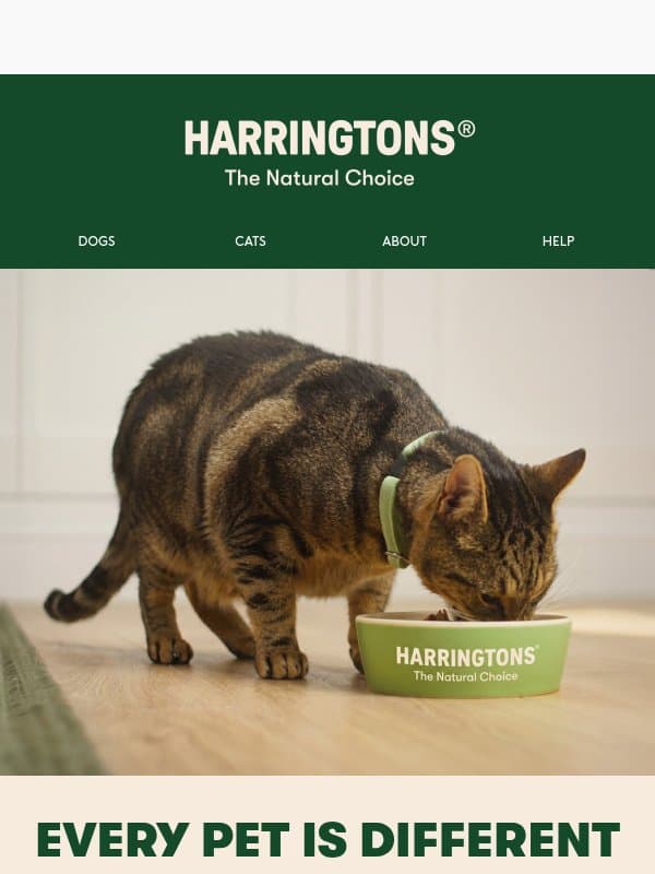 Not sure which food to choose? 🐾 email from Harringtons