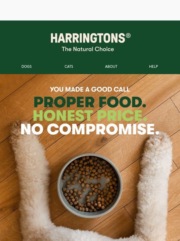 We promised you a discount...🤭 email from Harringtons