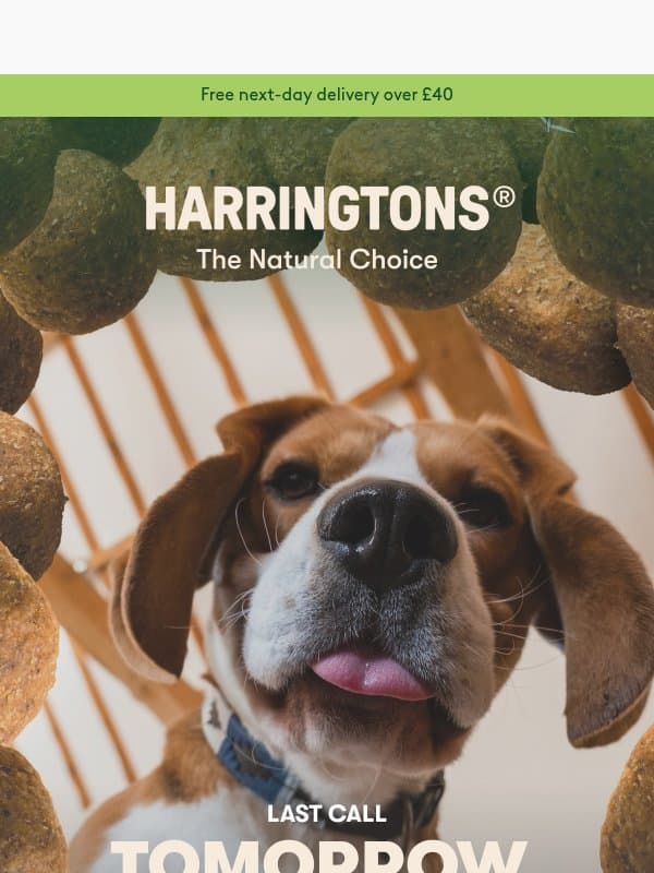 Your discount is about to run off... 👀 email from Harringtons