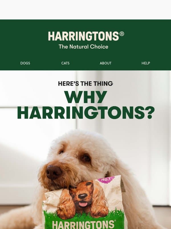 Proper pet food without the hefty price tag 🙌 email from Harringtons