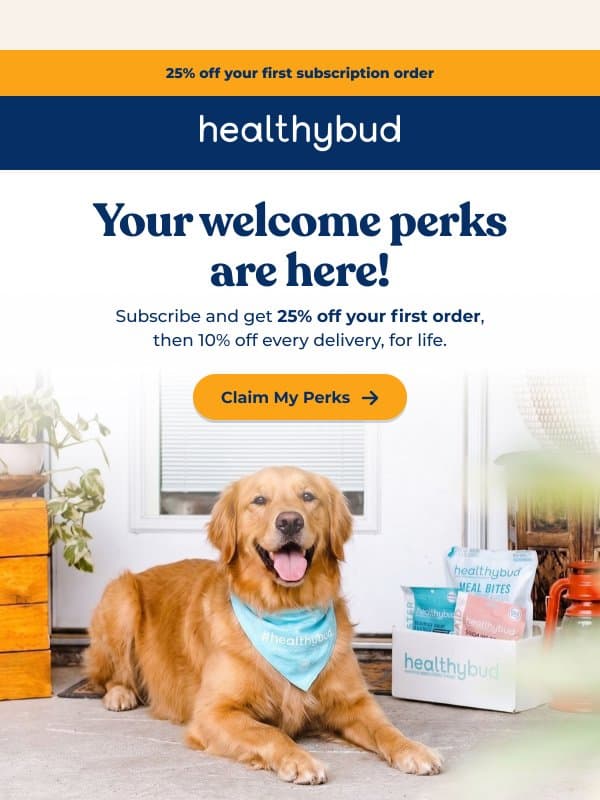 Your welcome perks are waiting email from Healthybud