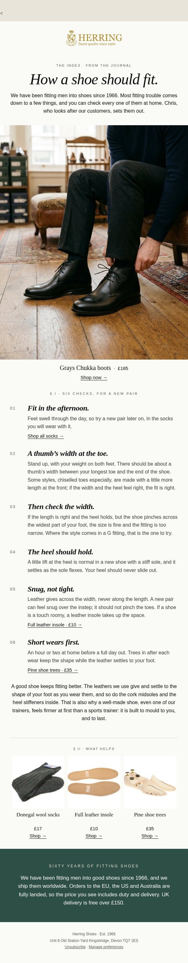 How a shoe should fit. email from Herring Shoes screenshot