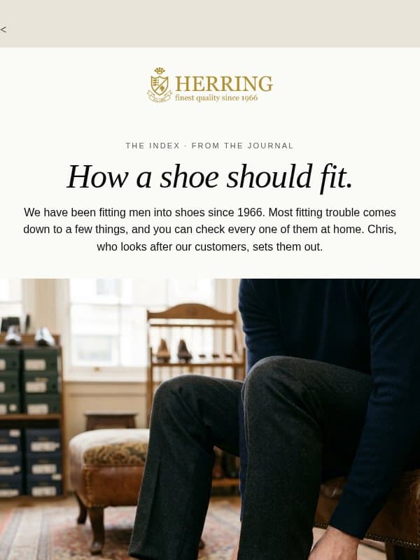 How a shoe should fit. email from Herring Shoes