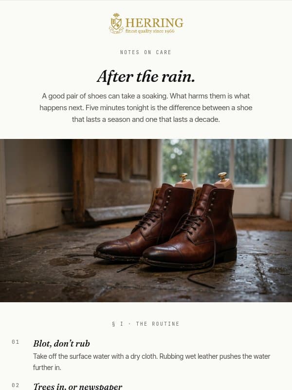 After the rain email from Herring Shoes