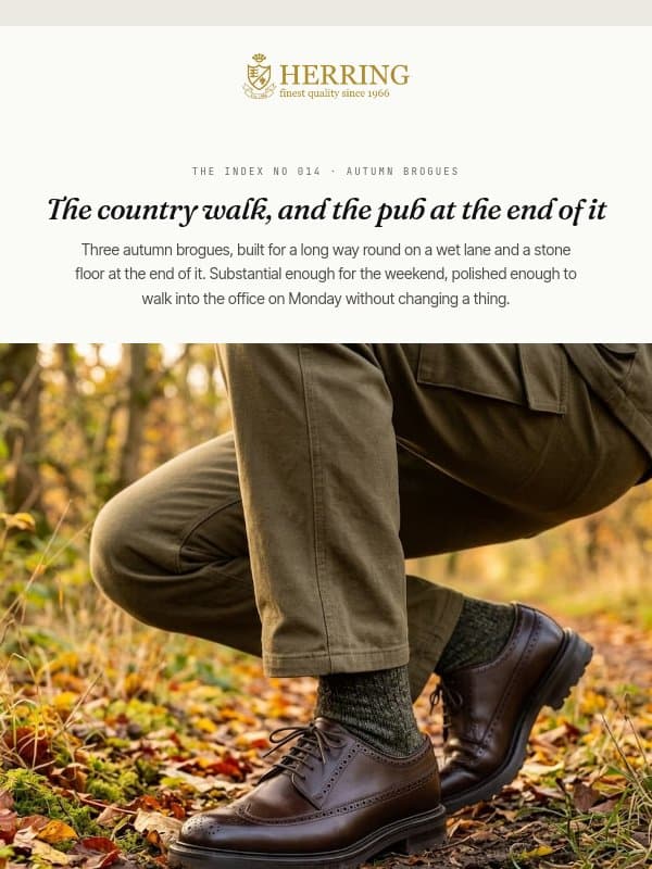 Autumn brogues email from Herring Shoes