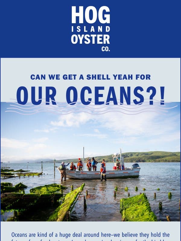 Today (and every day) is all about the big blue 🌊 email from Hog Island Oyster Company