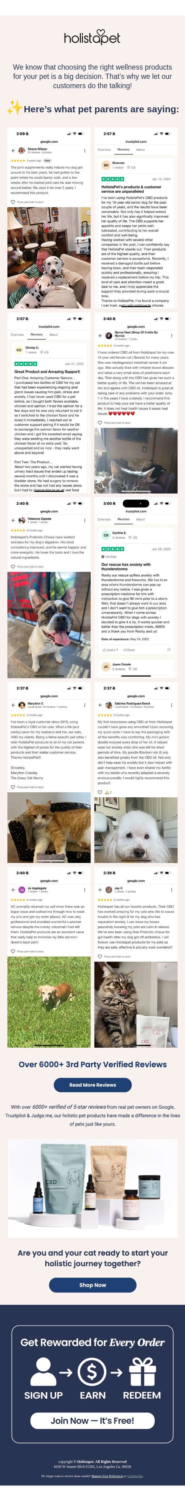 "I noticed a change within days.” – A pet parent's story email from HolistaPet screenshot