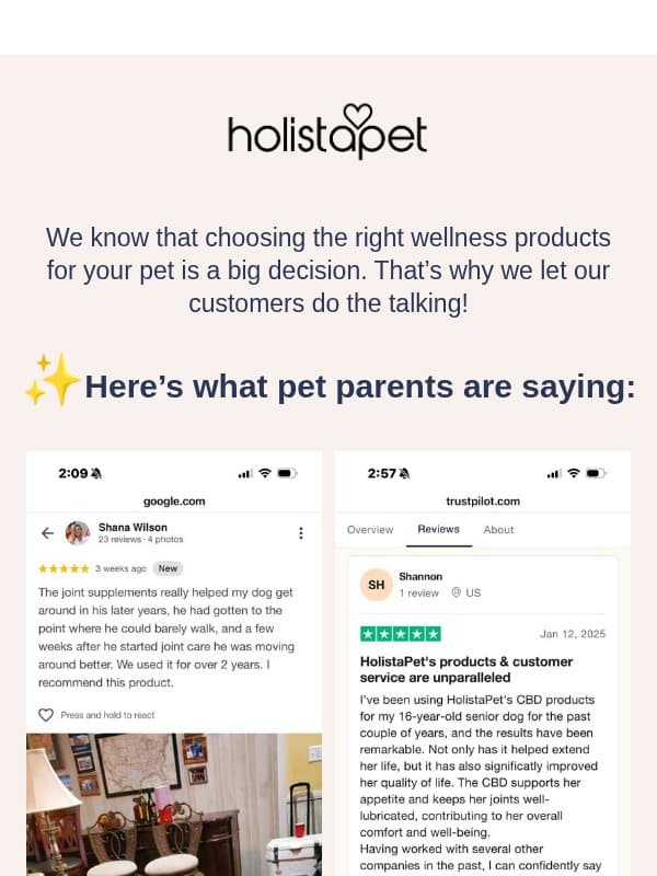 "I noticed a change within days.” – A pet parent's story email from HolistaPet