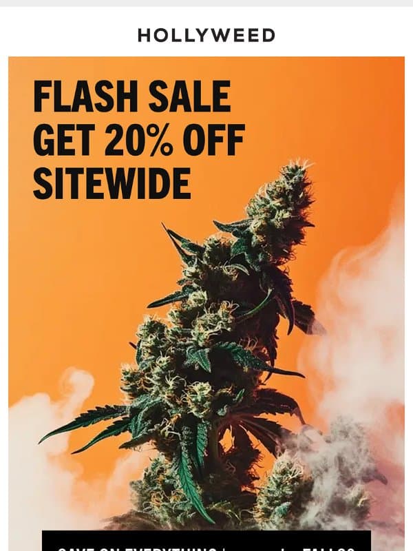 Hey Icon, the fIash saIe is HERE. email from Hollyweed