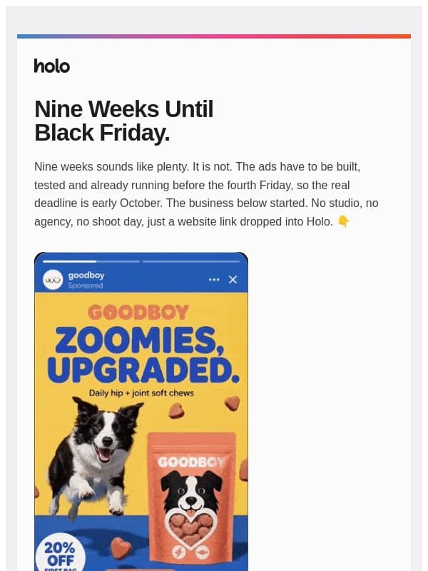 9 weeks until Black Friday 🙀 email from Holo