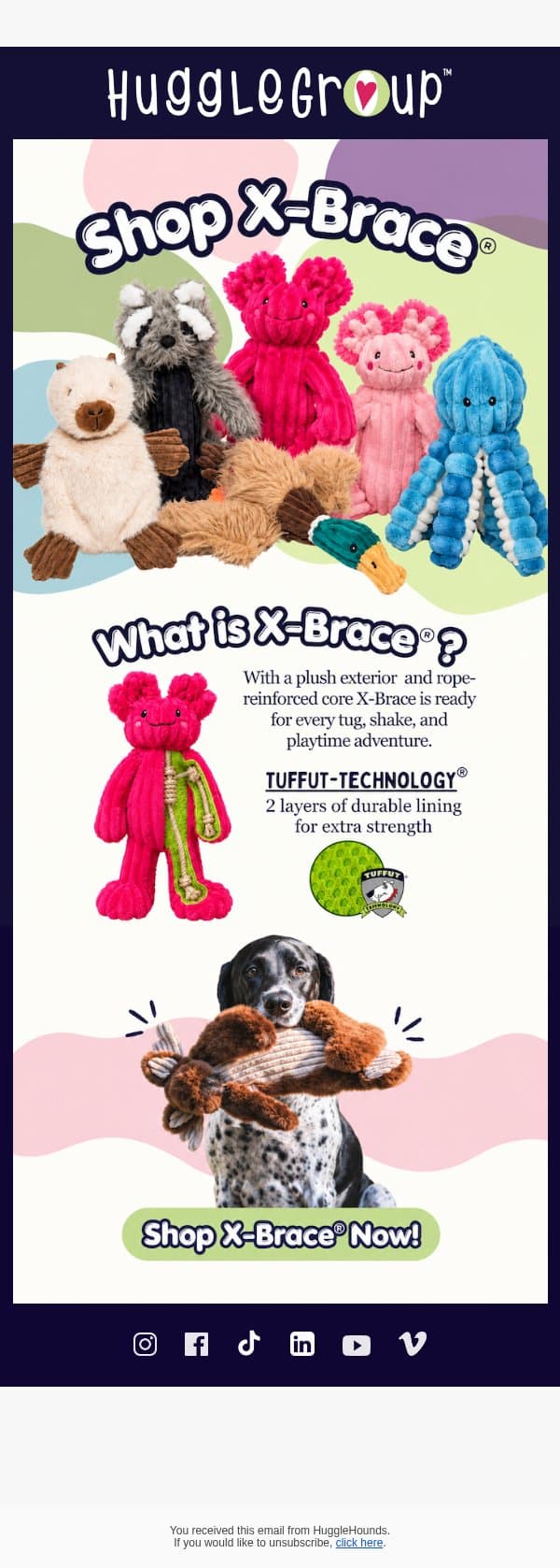 Get to Know X-Brace! email from HuggleHounds screenshot