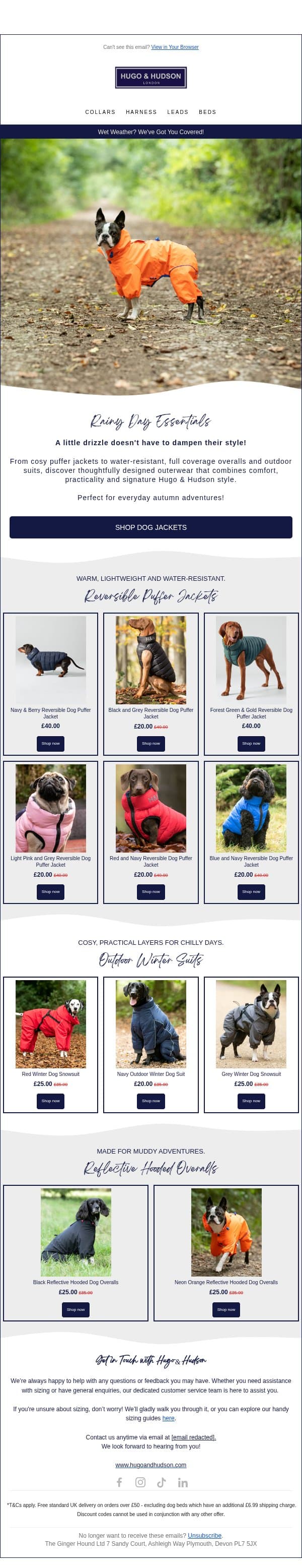 Rainy Day Essentials ☔ email from Hugo & Hudson screenshot