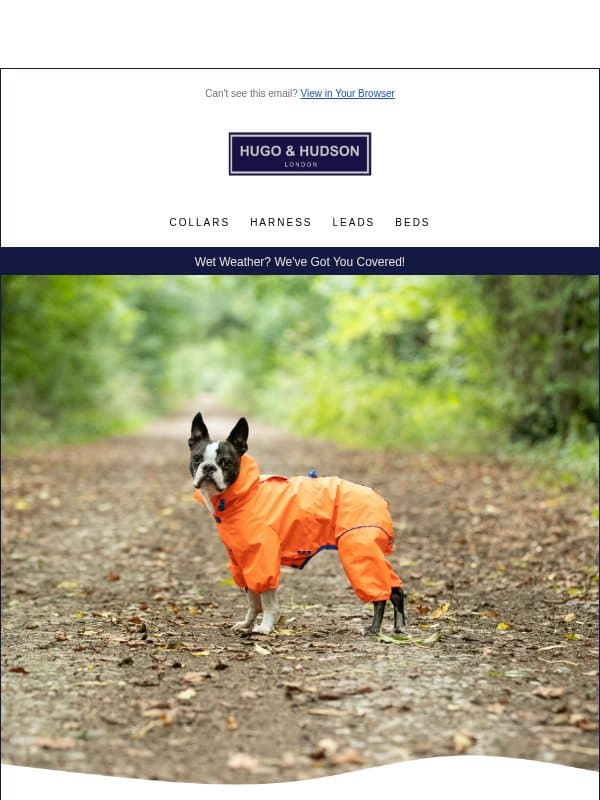 Rainy Day Essentials ☔ email from Hugo & Hudson