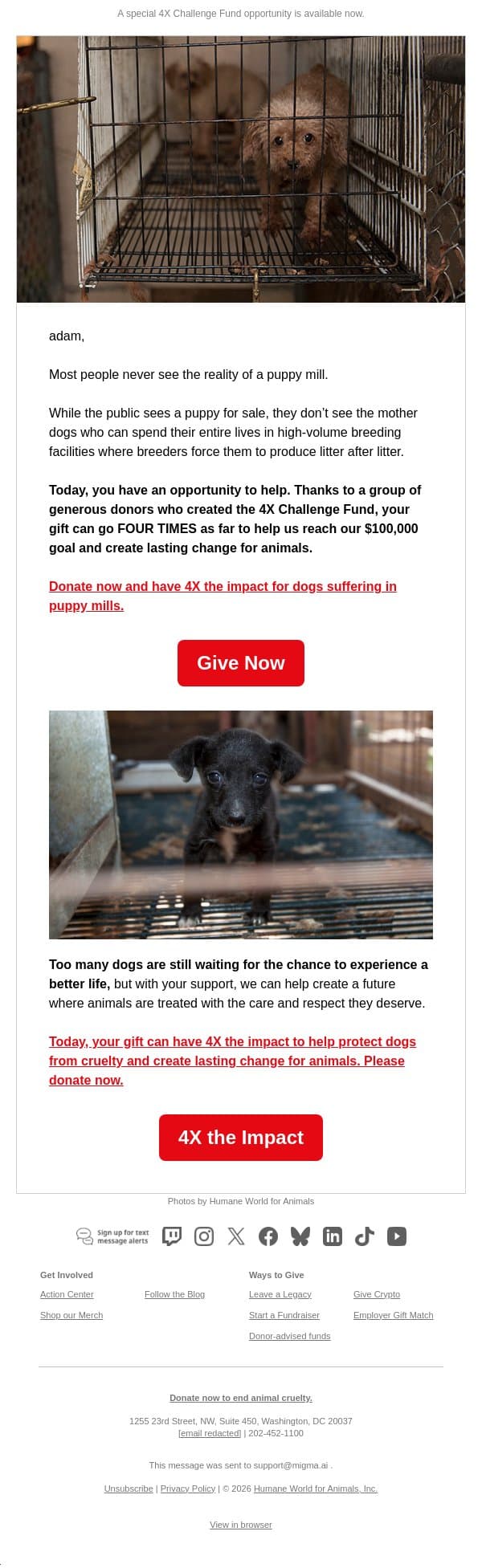 The reality for dogs trapped in puppy mills email from Humane Society of the United States screenshot