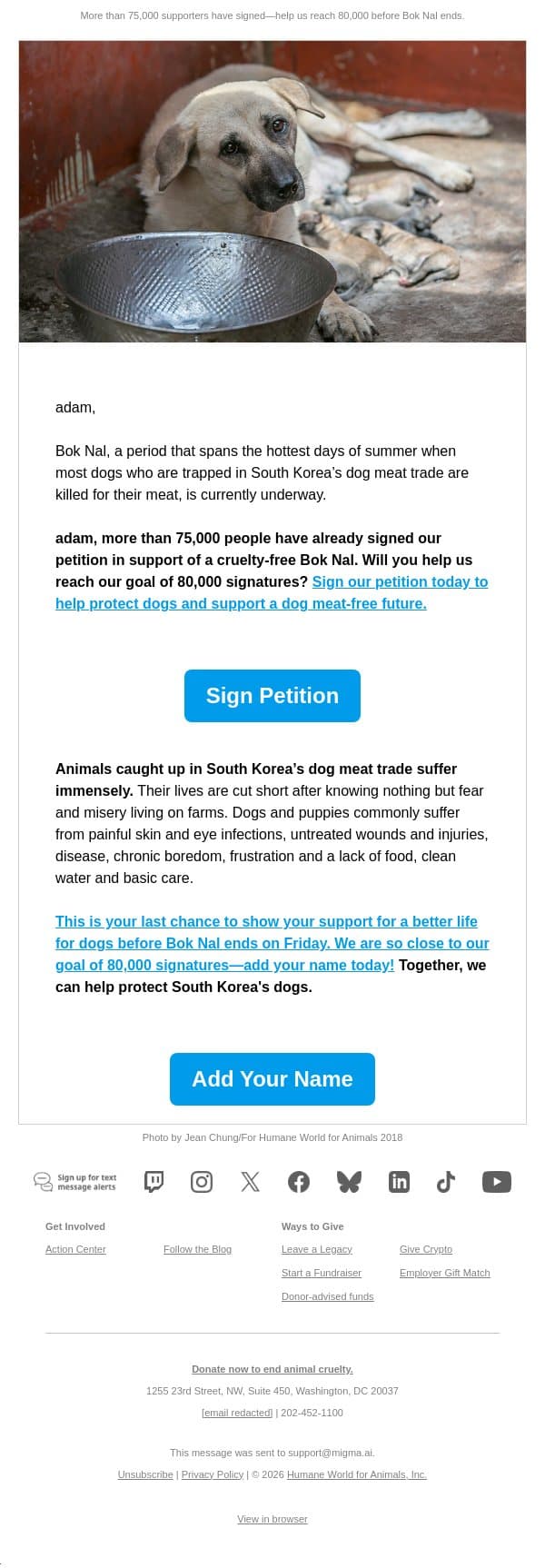 Add your name to support a future free from the dog meat trade email from Humane Society of the United States screenshot