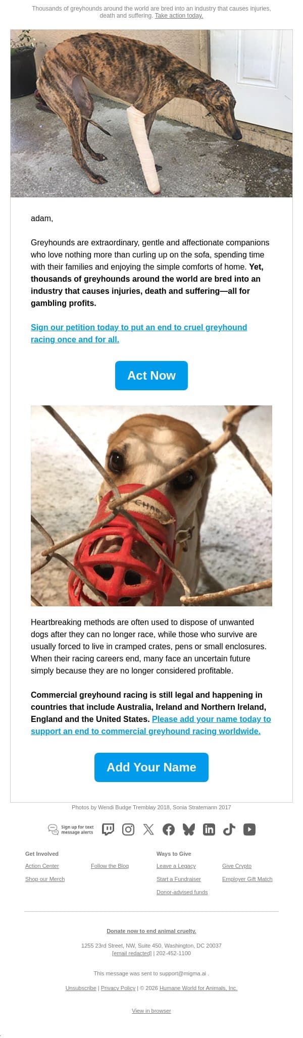 Help end greyhound racing email from Humane Society of the United States screenshot