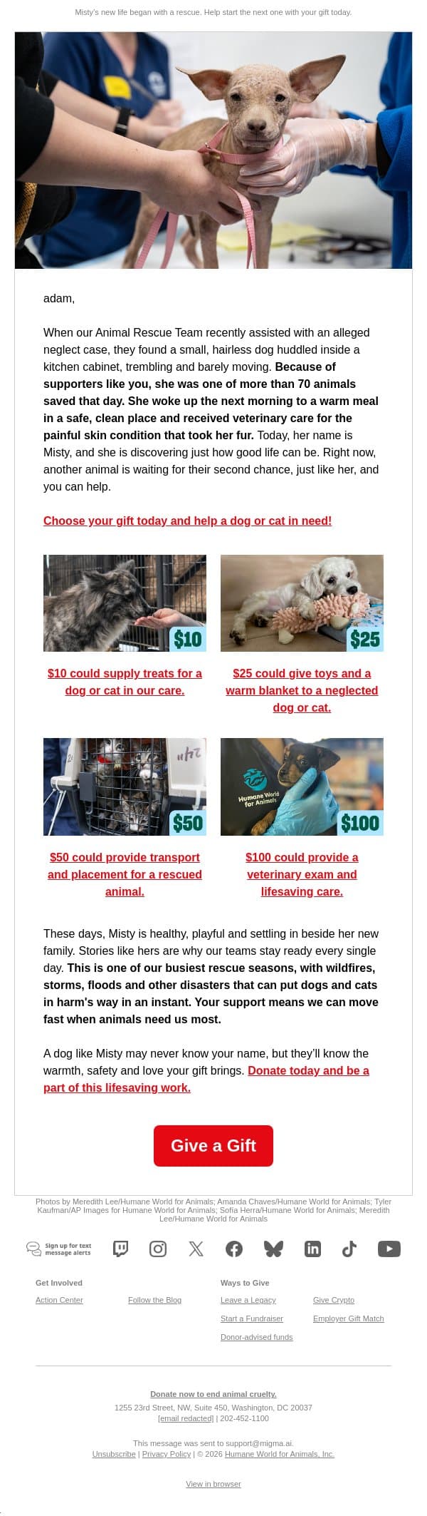 She had no name. Now she has a home. email from Humane Society of the United States screenshot