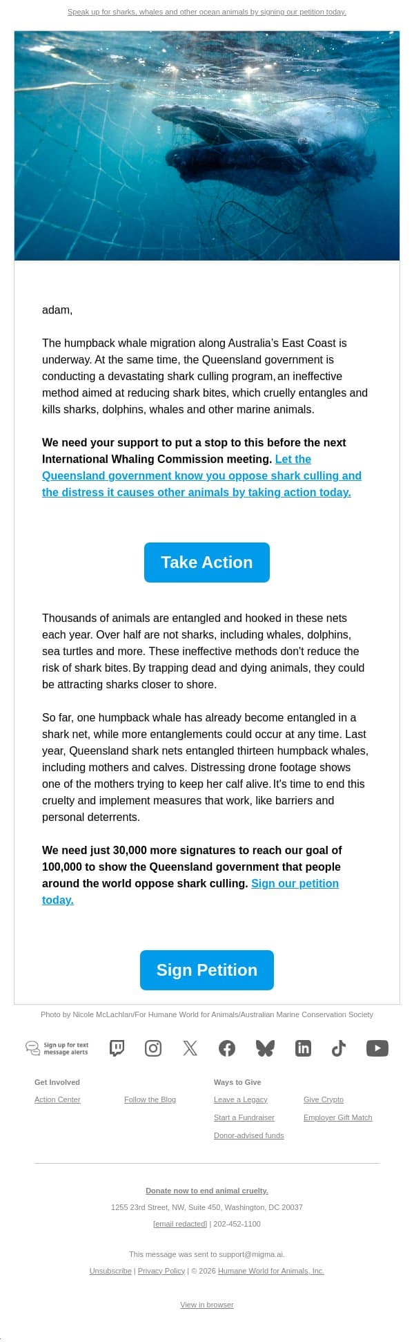 Act now: Marine animals need help in Queensland email from Humane Society of the United States screenshot