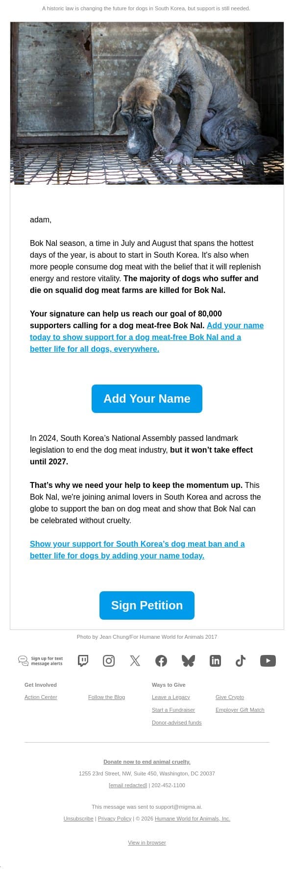 Bok Nal starts this week. Here's why it matters. email from Humane Society of the United States screenshot