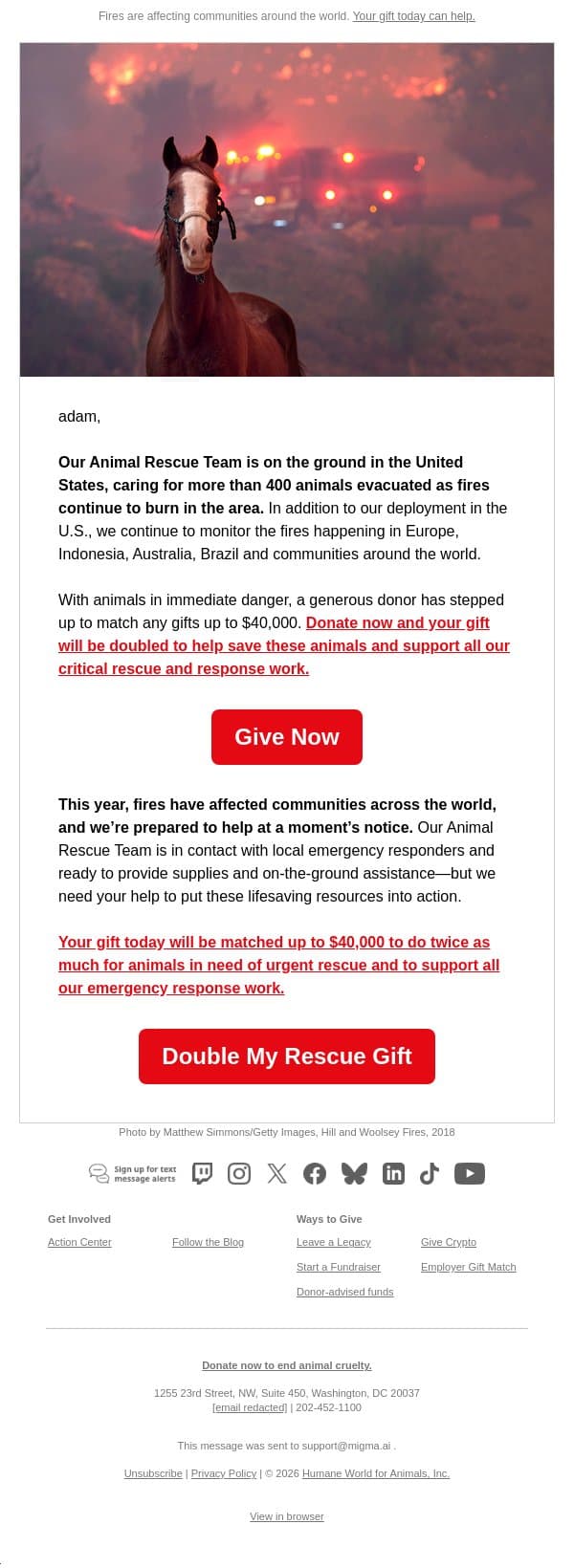 Urgent: Our wildfire response for animals email from Humane Society of the United States screenshot