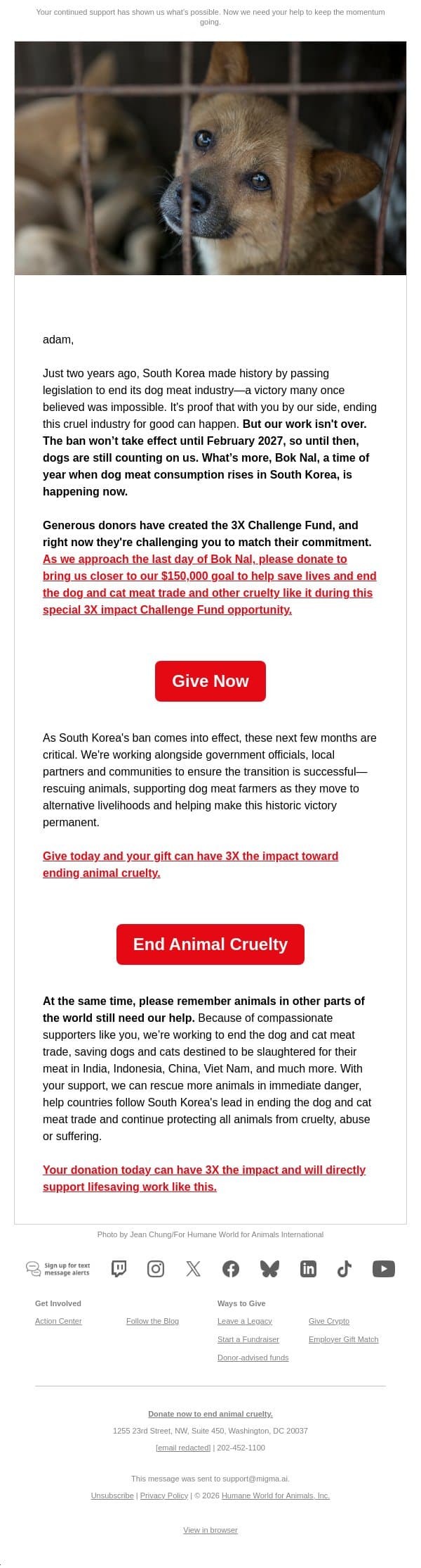 A future without the dog meat trade is possible email from Humane Society of the United States screenshot