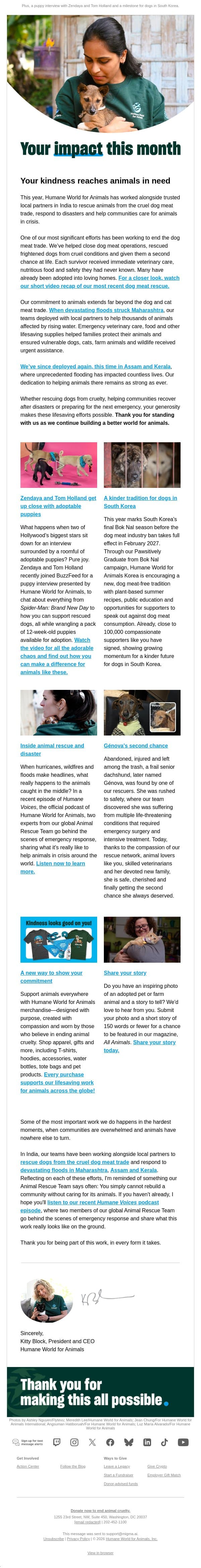 India rescues, disaster response and ways to help animals from home email from Humane Society of the United States screenshot