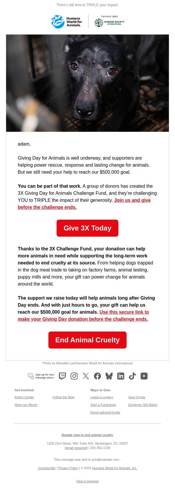 Before today ends … email from Humane Society of the United States screenshot