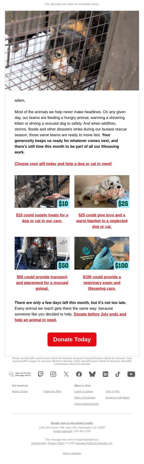 Your gift, their fresh start email from Humane Society of the United States screenshot