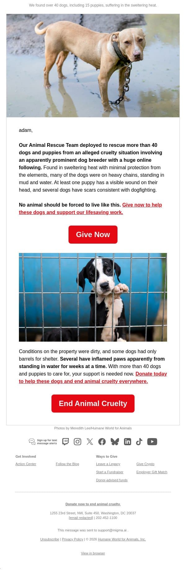 Breaking: More than 40 dogs rescued from dangerous conditions email from Humane Society of the United States screenshot