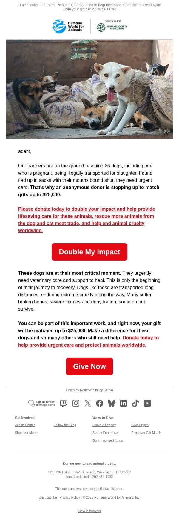 Double your impact: Dog meat truck rescue email from Humane Society of the United States screenshot