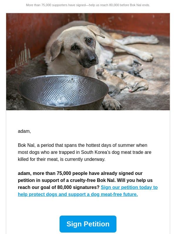Add your name to support a future free from the dog meat trade email from Humane Society of the United States