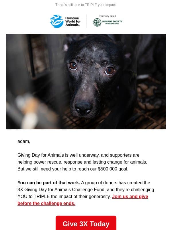 Before today ends … email from Humane Society of the United States